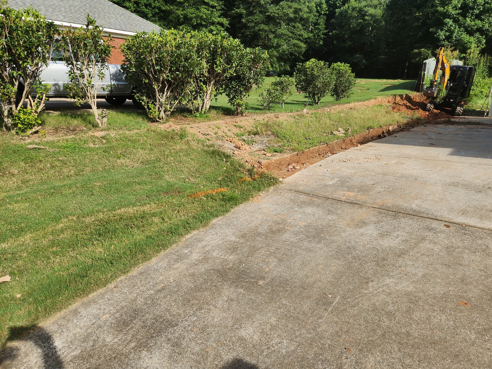 Before Image