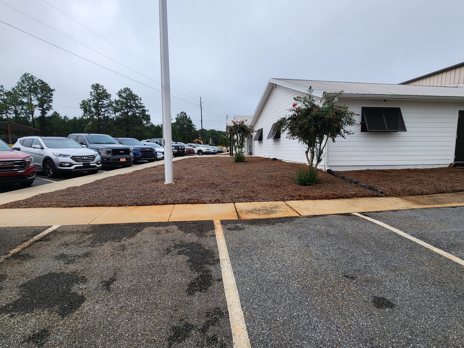 Before Image